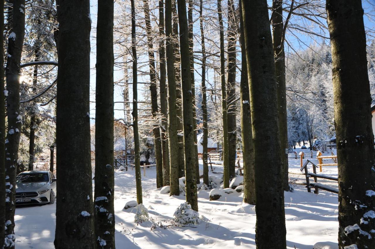 Kuźnice Apartament Zakopane