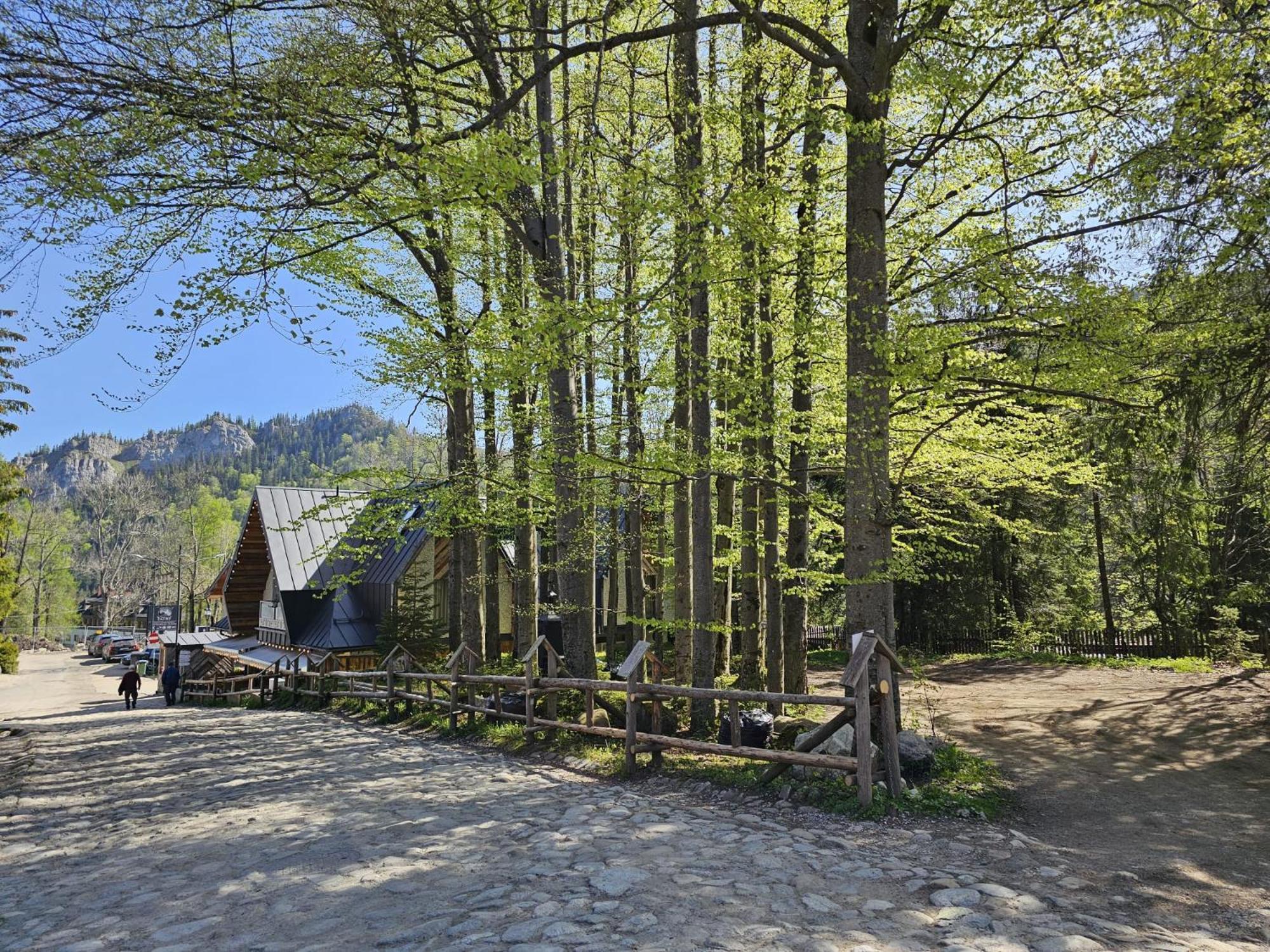 Kuźnice Apartament Zakopane